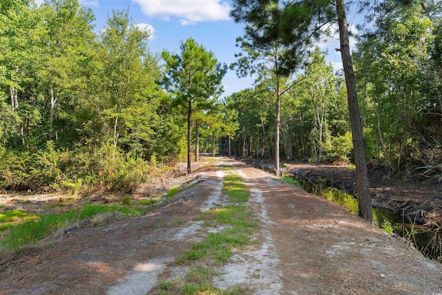 TBD Cartwheel Rd, Mullins, SC 29574 - photo 6