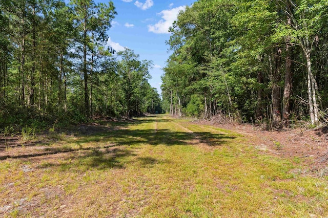 TBD Cartwheel Rd, Mullins, SC 29574 - photo 9