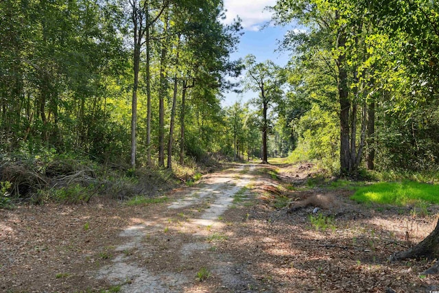TBD Cartwheel Rd, Mullins, SC 29574 - photo 10