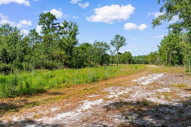 TBD Cartwheel Rd, Mullins, SC 29574 - photo 12