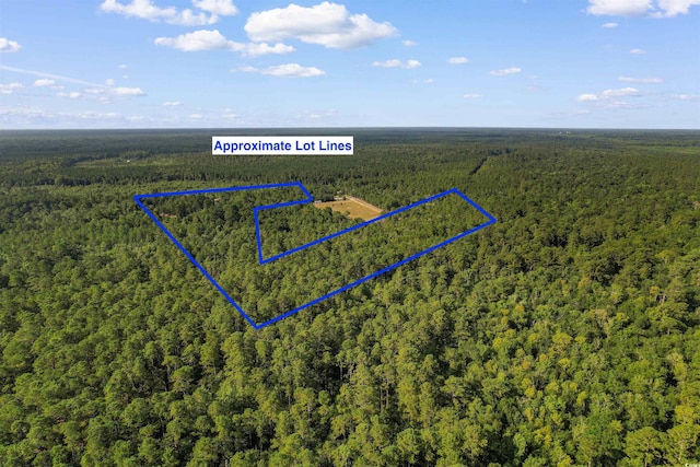 TBD Cartwheel Rd, Mullins, SC 29574 - photo 14