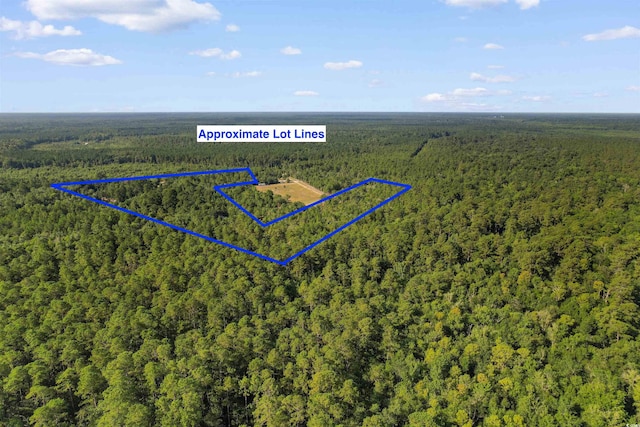 TBD Cartwheel Rd, Mullins, SC 29574 - photo 16