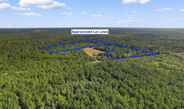 TBD Cartwheel Rd, Mullins, SC 29574 - photo 19