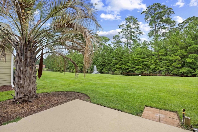 474 Grand Cypress Way, Murrells Inlet, SC 29576 - photo 33