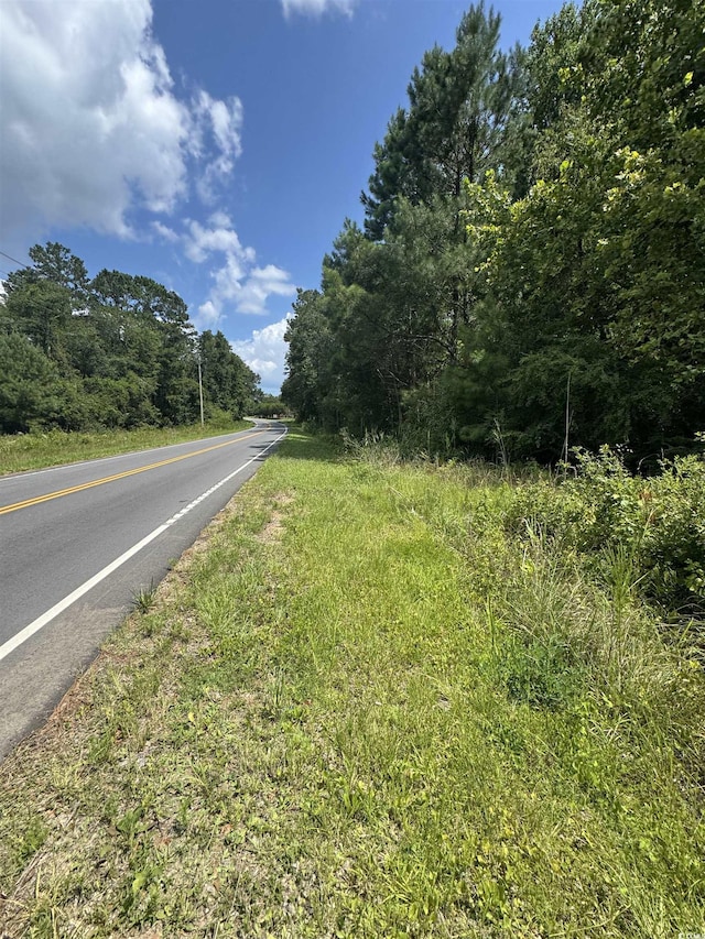 TBD Society Dr, Conway, SC 29527 - photo 2