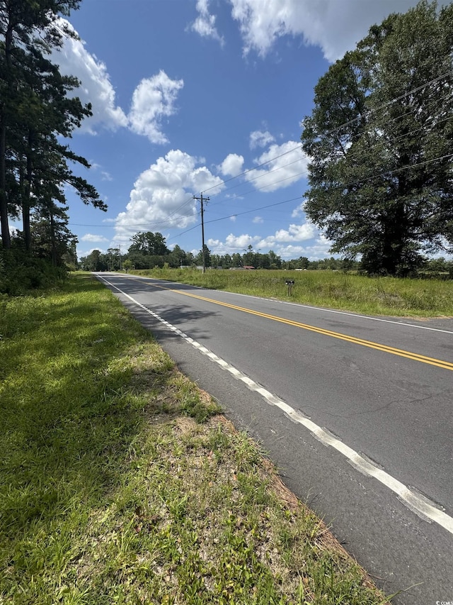 TBD Society Dr, Conway, SC 29527 - photo 4