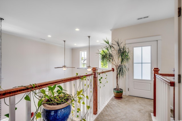 962 Hendrick Ave, Myrtle Beach, SC 29577 - photo 22