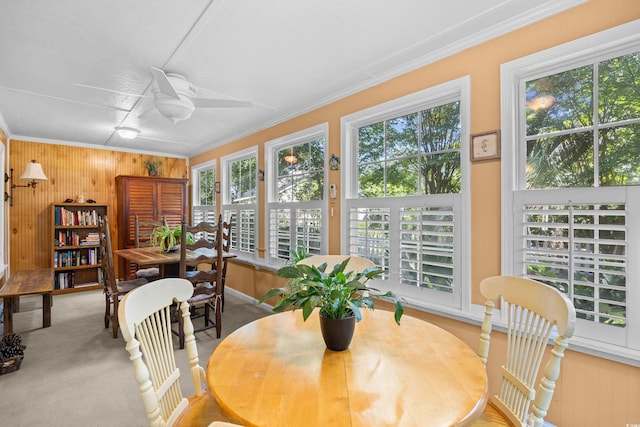 151 Safe Harbor Ave, Pawleys Island, SC 29585 - photo 9