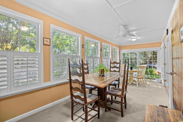 151 Safe Harbor Ave, Pawleys Island, SC 29585 - photo 26