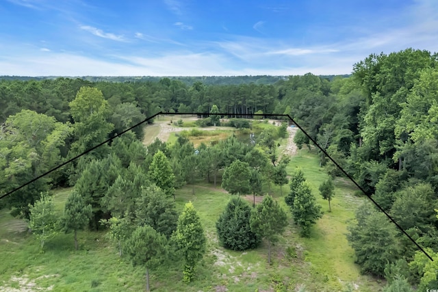 16.5ACRES Whispering Hills Rd, Loris, SC 29569 - photo 2