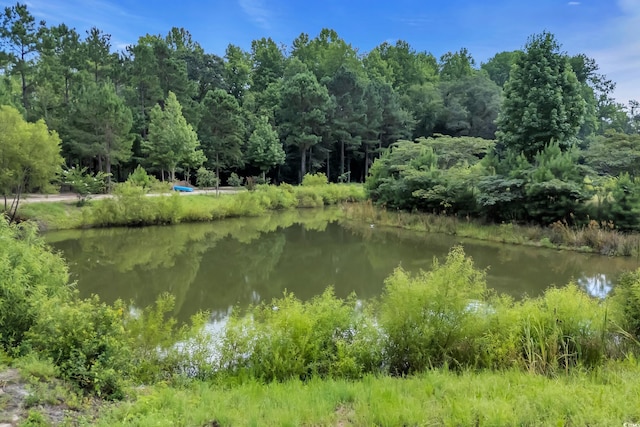16.5ACRES Whispering Hills Rd, Loris, SC 29569 - photo 4