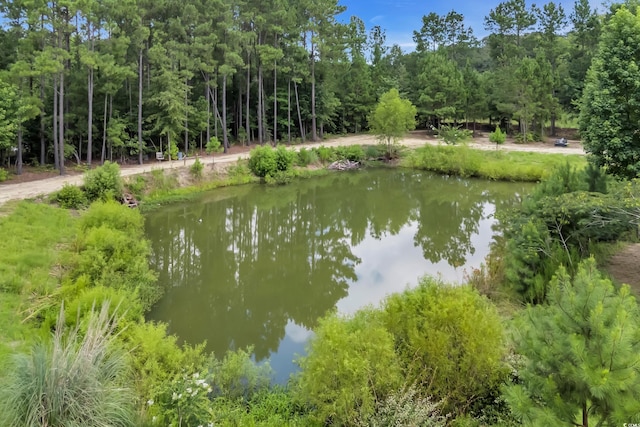16.5ACRES Whispering Hills Rd, Loris, SC 29569 - photo 5