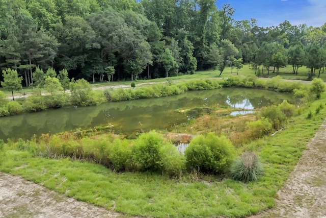 16.5ACRES Whispering Hills Rd, Loris, SC 29569 - photo 6
