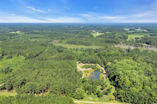 16.5ACRES Whispering Hills Rd, Loris, SC 29569 - photo 10