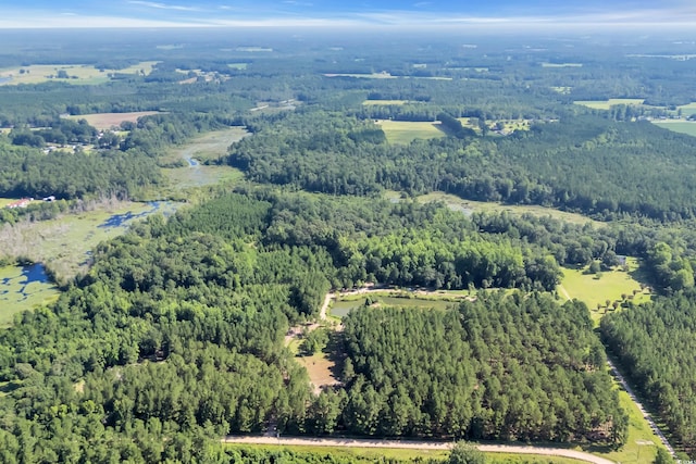 16.5ACRES Whispering Hills Rd, Loris, SC 29569 - photo 11
