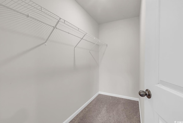177 Belmonte Dr, Myrtle Beach, SC 29588 - photo 26