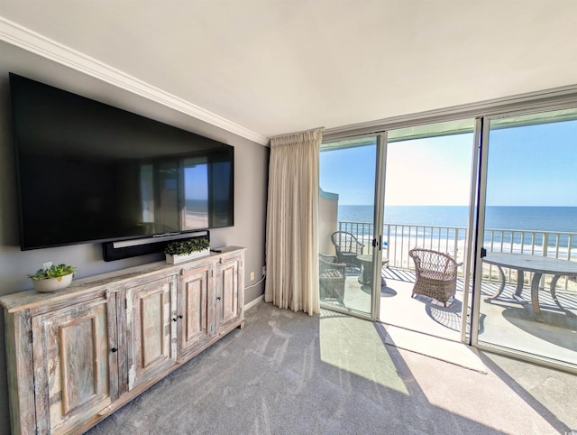 195 S Dunes Dr Unit 502, Pawleys Island, SC 29585 - photo 12