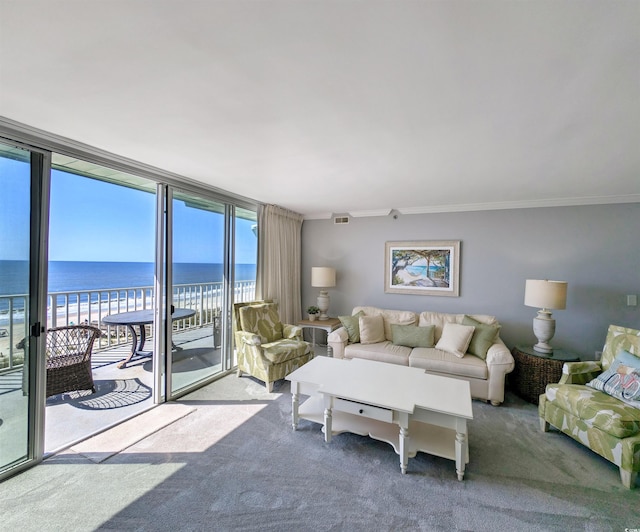 195 S Dunes Dr Unit 502, Pawleys Island, SC 29585 - photo 11