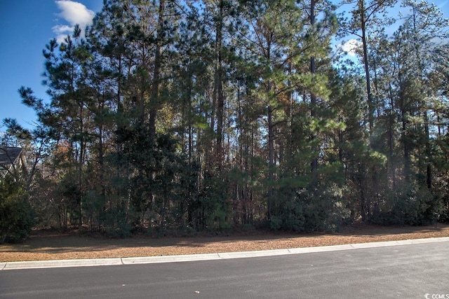 172 Low Country Loop, Murrells Inlet, SC 29576 - photo 1
