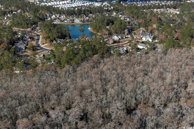 172 Low Country Loop, Murrells Inlet, SC 29576 - photo 5