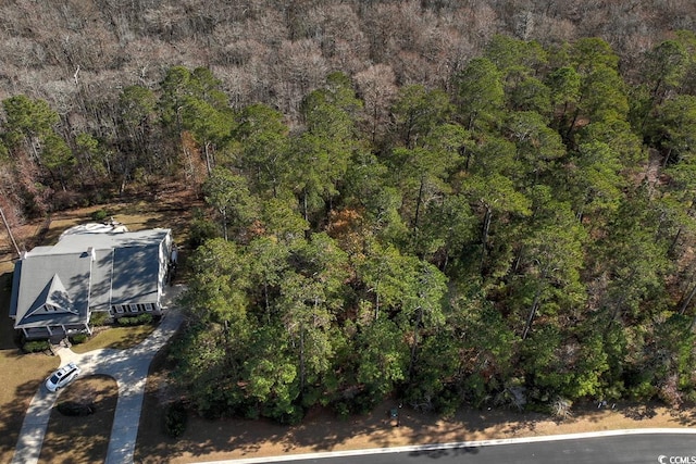 172 Low Country Loop, Murrells Inlet, SC 29576 - photo 2