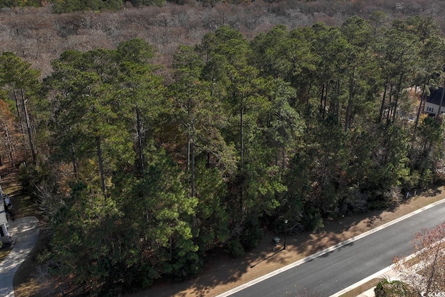 172 Low Country Loop, Murrells Inlet, SC 29576 - photo 10
