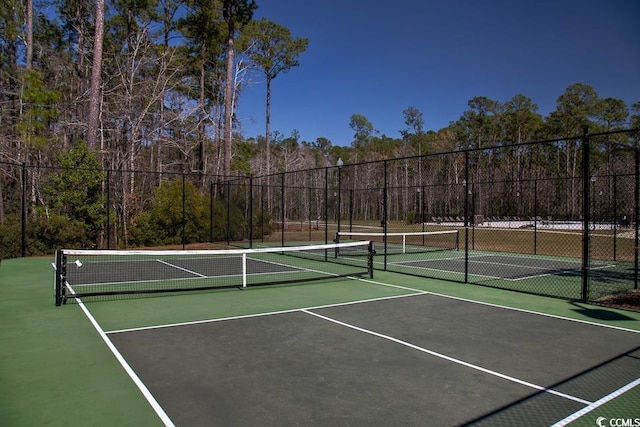 172 Low Country Loop, Murrells Inlet, SC 29576 - photo 16