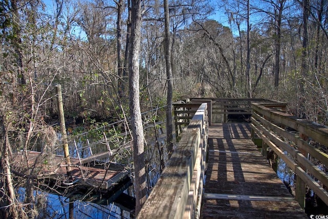 172 Low Country Loop, Murrells Inlet, SC 29576 - photo 13