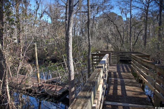 172 Low Country Loop, Murrells Inlet, SC 29576 - photo 12