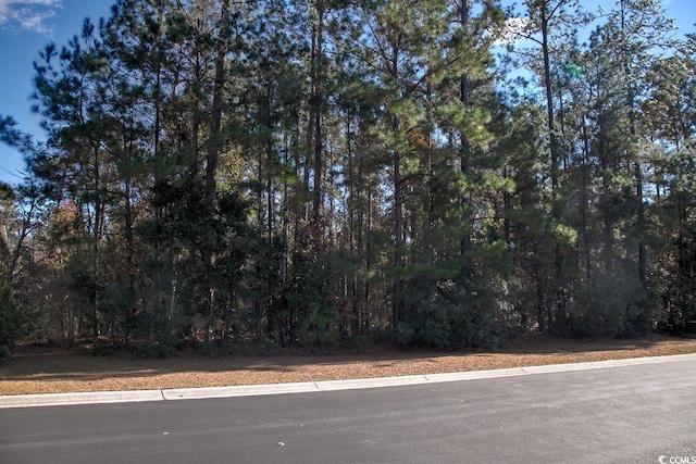 172 Low Country Loop, Murrells Inlet, SC 29576 - photo 11