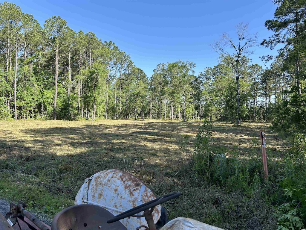 722 Romain Rd, Mcclellanville, SC 29458 - photo 2