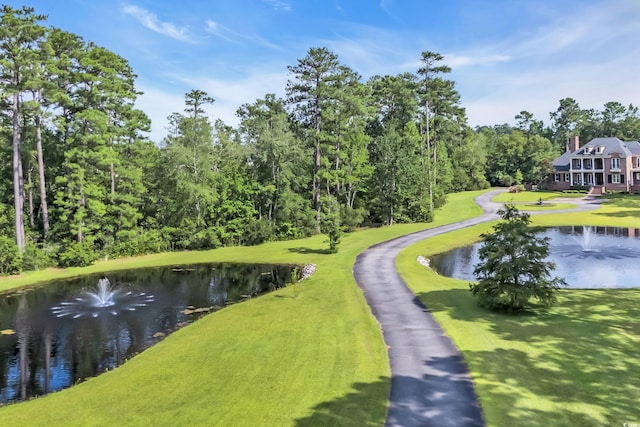 1000 Fox Bay Rd, Loris, SC 29569 - photo 8