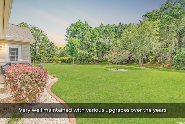 509 Sparkleberry Dr, Murrells Inlet, SC 29576 - photo 7