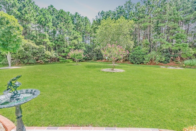509 Sparkleberry Dr, Murrells Inlet, SC 29576 - photo 6
