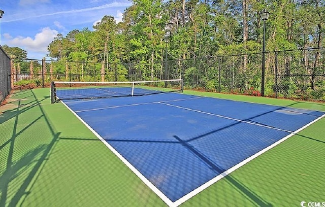 5841 Whitebark Dr, Myrtle Beach, SC 29577 - photo 37