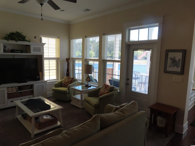 800 Curtis Brown Ln, Myrtle Beach, SC 29577 - photo 16