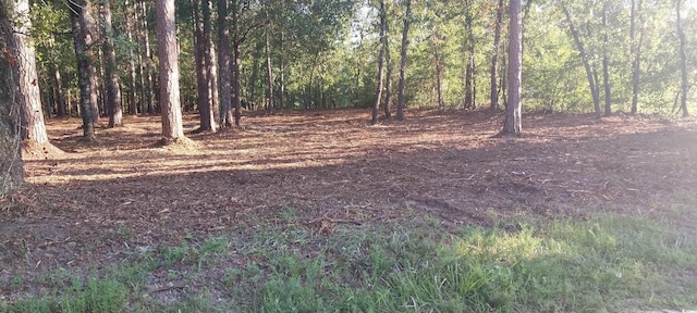 LOT1 Pee Dee School Rd, Marion, SC 29571 - photo 10