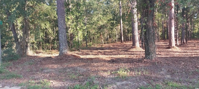 LOT1 Pee Dee School Rd, Marion, SC 29571 - photo 9