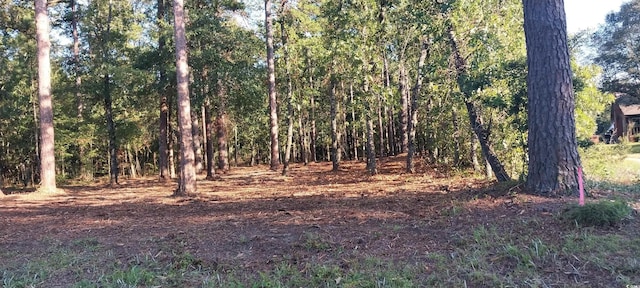 LOT1 Pee Dee School Rd, Marion, SC 29571 - photo 8