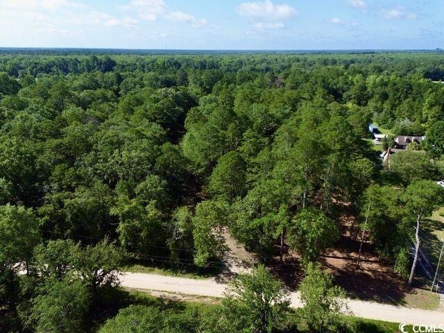 LOT1 Pee Dee School Rd, Marion, SC 29571 - photo 5