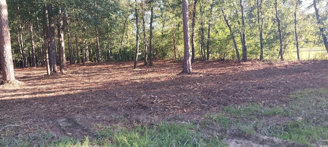 LOT1 Pee Dee School Rd, Marion, SC 29571 - photo 2
