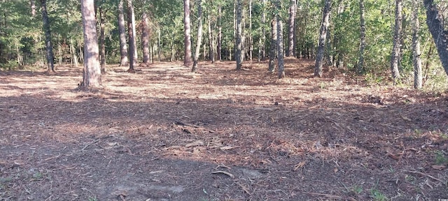 LOT1 Pee Dee School Rd, Marion, SC 29571 - photo 1