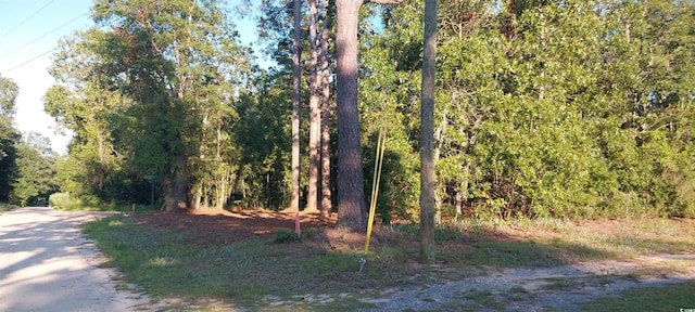 LOT1 Pee Dee School Rd, Marion, SC 29571 - photo 11