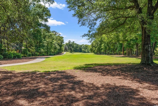 3056 Court St Unit 3056, Murrells Inlet, SC 29576 - photo 37