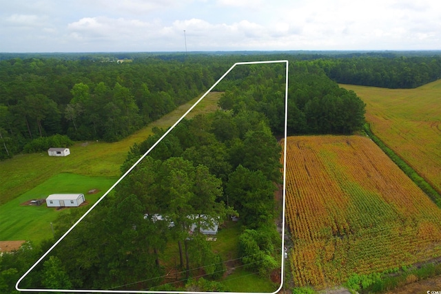 2187 Armview Rd, Loris, SC 29569 - photo 1