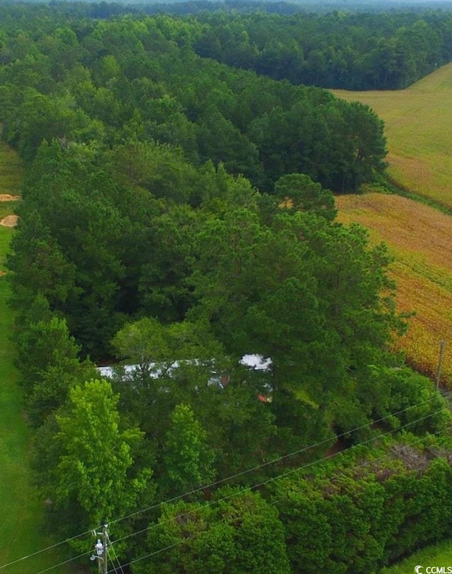2187 Armview Rd, Loris, SC 29569 - photo 5