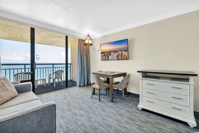 1105 S Ocean Blvd Unit 1130, Myrtle Beach, SC 29577 - photo 15