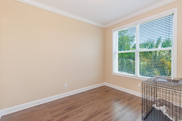 611 23rd Ave N, North Myrtle Beach, SC 29582 - photo 35