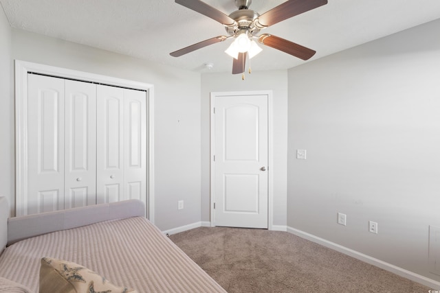 449 Levanto Rd, Myrtle Beach, SC 29588 - photo 22