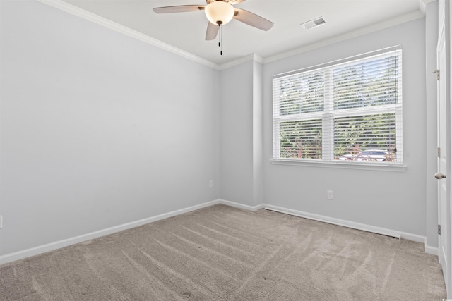 520 Flowering Branch Ave, Little River, SC 29566 - photo 5